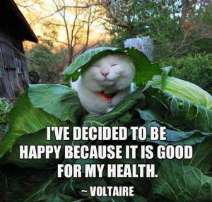 « J'ai décidé d'être heureux parce que c'est bon pour la santé. » (Voltaire)